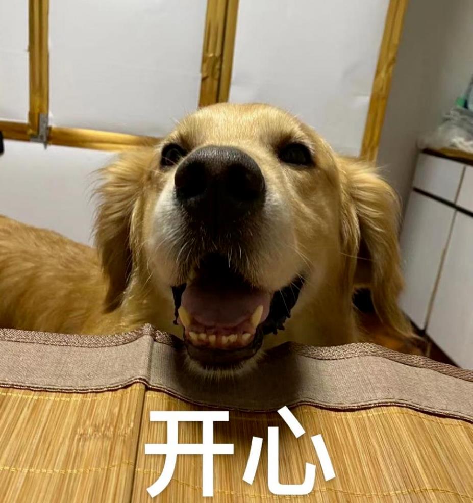 DƬ